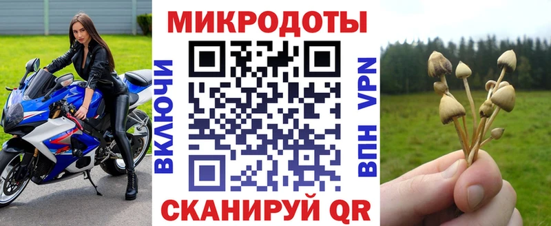Псилоцибиновые грибы GOLDEN TEACHER Сальск